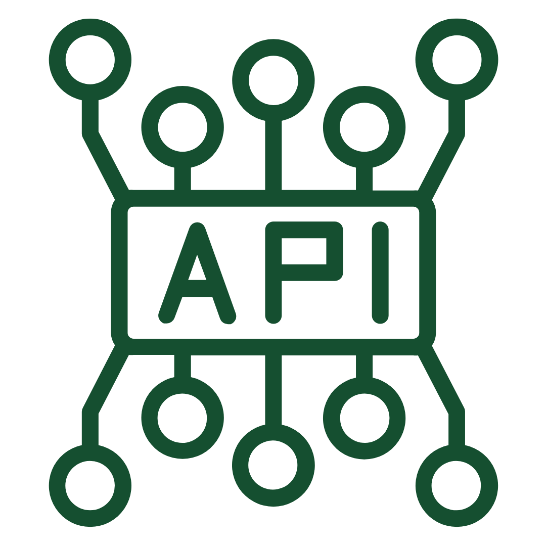 API Access Icon